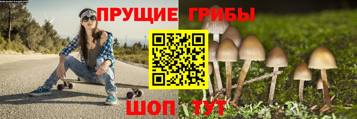 купить наркотик  Псилоцибиновые грибы мицелий  Вход с VPN  Тара 